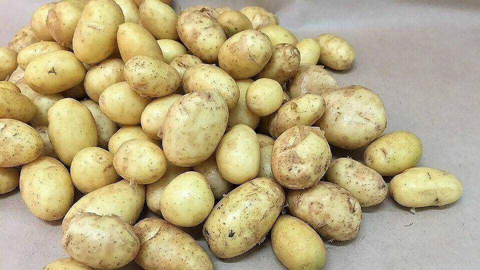 potatoes-929866_960_720|PEG.12.160.pesadora estática|PEG.12.160.pesadora estática